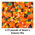 thumbnail image 2 of Brach’s Assorted Flavors Fall Candy Mix, 2.75 bulk Halloween candy with 20 clear treat bags and 20 pumpkin stickers, 2 of 6