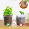 thumbnail image 4 of Tripumer Transparent Nursery Pot 3/4/5/6 Inch Plastic Planter with Drainage Holes Plant Growing Pot Seed Starter Pot High Transparency Gardening Pot Indoor Outdoor Available 20 Packs, 4 of 9