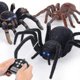 thumbnail image 2 of Wireless Remote Control Spider, Multi-function High Simulation Remote Control Two-way Four-way Spider Infrared Remote Control Tarantula Black Widow To, 2 of 5