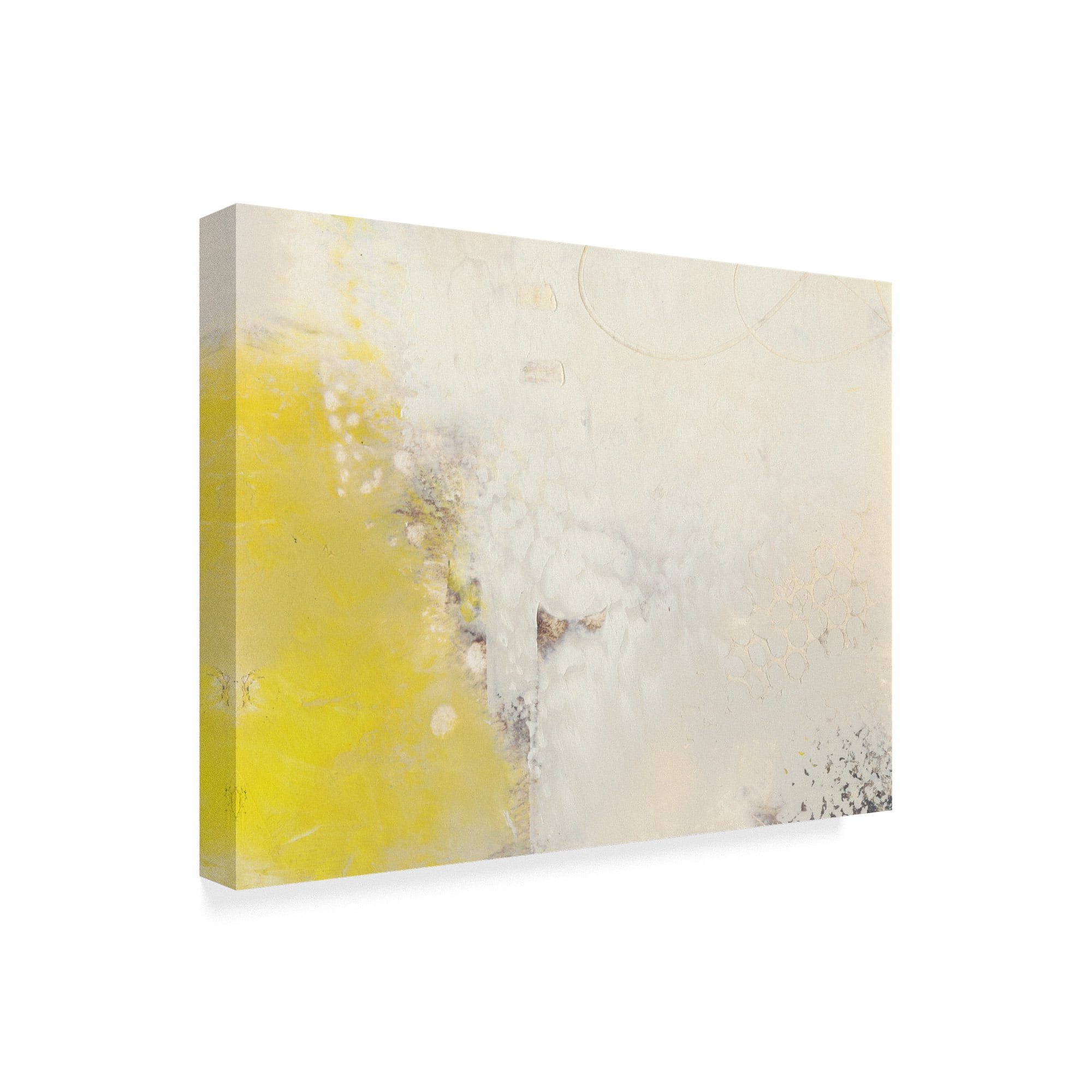 Trademark Fine Art 'Yellow Lux I' Canvas Art by Sue Jachimiec