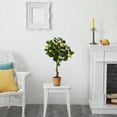 thumbnail image 4 of Nearly Natural 28" Lemon Artificial Tree in Decorative Planter, 4 of 4