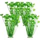 thumbnail image 1 of Plantas decorativas para acuarios 5 piezas de plantas artificiales 15,75 pulgadas verde, 1 of 4