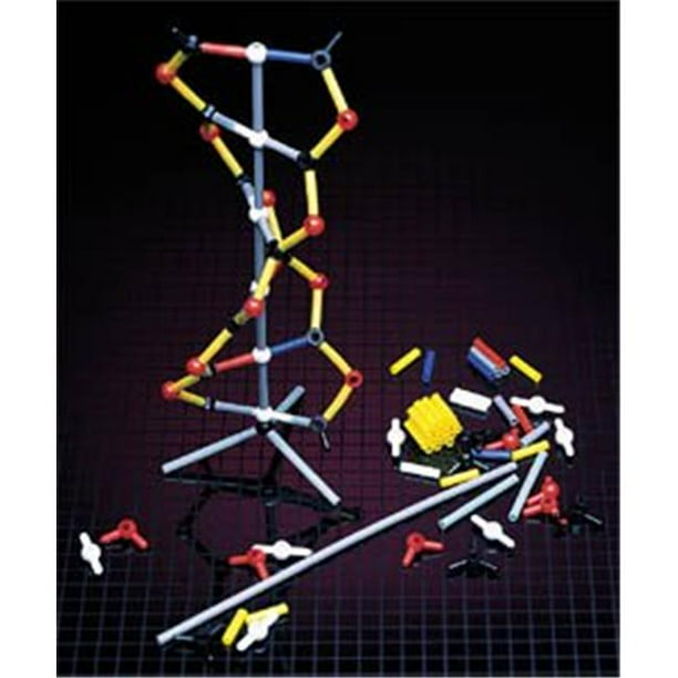 Hubbard Scientific R-DNA1 Recharge de Modèle ADN en un Seul Paquet