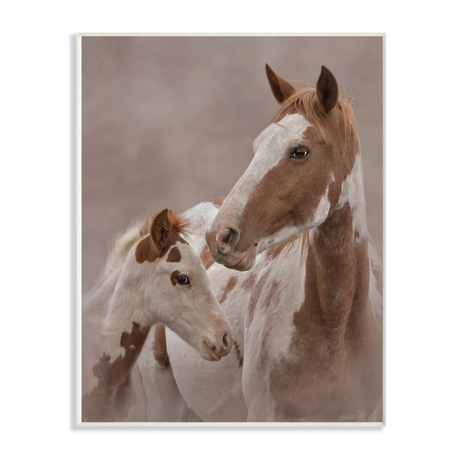 Stupell Horse Family Photograph, Wall Plaque, 10 x 0.5 x 15, A 13 x 19