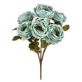 thumbnail image 1 of 17,5 Po Poudre de Rosier Bleu, 1 of 1