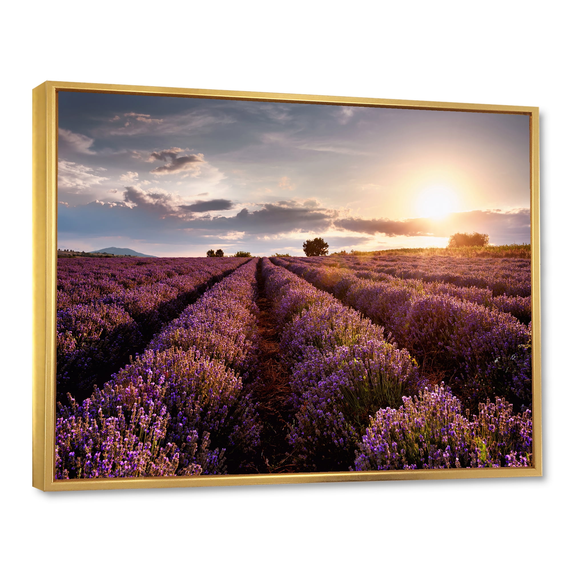 Designart 'Dramatic Clouds and Sunrise Over Lavender Field V' Farmhouse Framed Canvas Wall Art Print