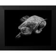 thumbnail image 2 of Wechsler, Robin 24x19 Black Modern Framed Museum Art Print Titled - Portrait Of A Sea Turtle In Black And White, 2 of 5