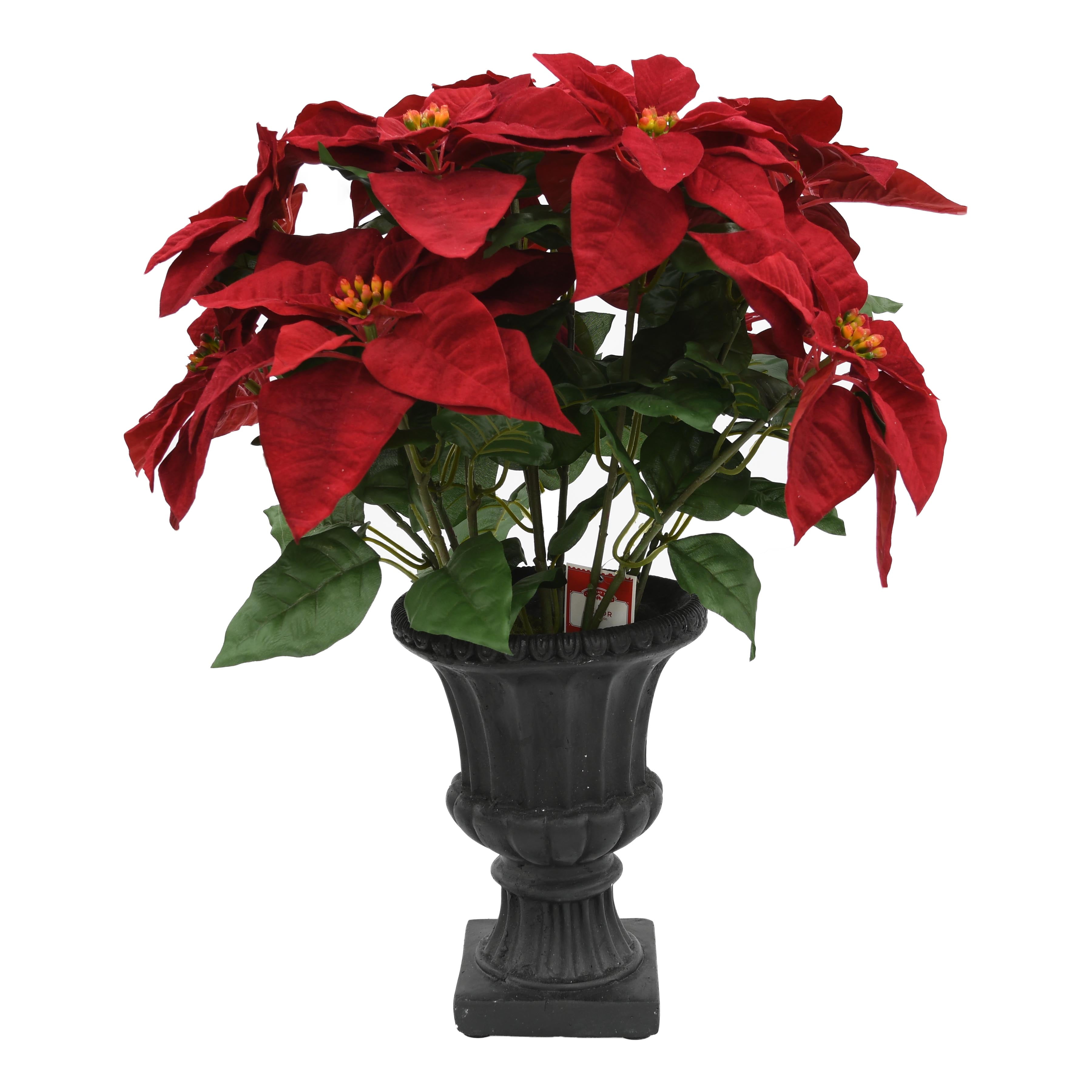 Holiday Time Poinsettia Arrangement
