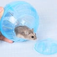 thumbnail image 4 of maskred 2x Balles de Course de Hamster Faciles à Installer et à Entretenir pour une Large Application, 4 of 6