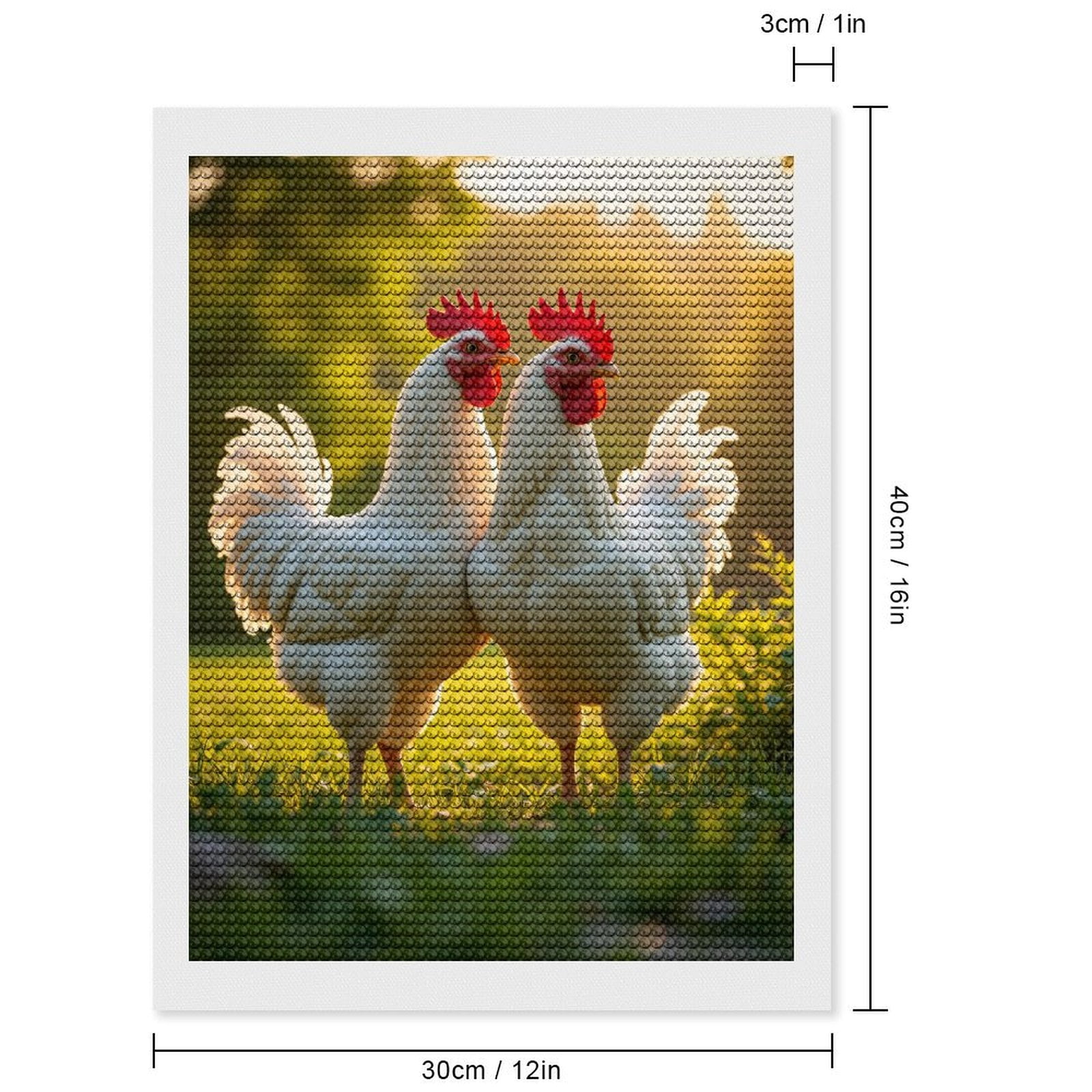 Diamond Art Kits for Adults, White Chickens In Sunlit Meadow 5D Diamond Painting Kits for Adults Beginners, DIY Full Drill Diamond Painting, Gem Art and Crafts 12x16
