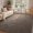 Brown/White-4' x 6' (Rectangular), variant on Finrec 7x10 Washable Area Rugs For Bedroom Living Room  Low Pile Thin Rug Solid Color Non-slip Carpet Indoor Home Decor (grey)