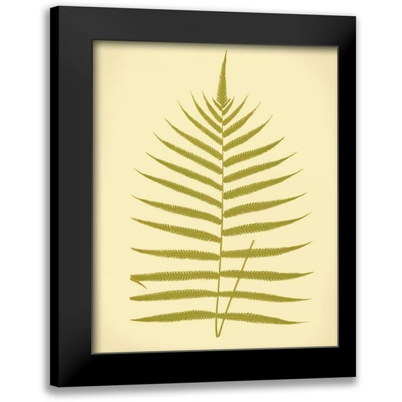 Lowe, E.J. 12x14 Black Modern Framed Museum Art Print Titled - Lowes Fern IV