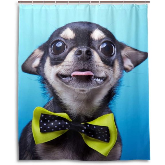Coolnut Shower Curtains Beautiful Chihuahua with Big Eyes Polyester Waterproof Shower Bath Curtain for Bathroom with Hooks 60x72 Inches