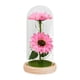 thumbnail image 1 of Girasol en cúpula de cristal Regalos Lámpara de girasol para mujeres Mamá Esposa Abuela Amiga Estilo B, 1 of 9