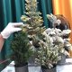 thumbnail image 5 of Árbol de Navidad artificial flocado, árbol de Navidad de cedro de escritorio, decoraciones navideñas de interior, 5 of 5