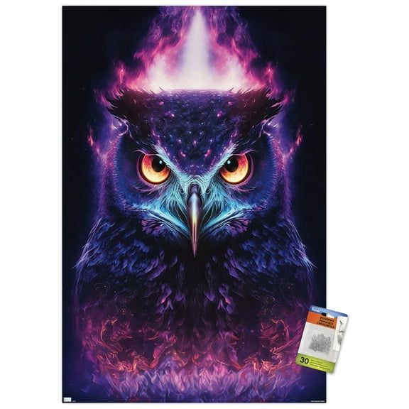 Wumples - Mystic Owl Wall Poster with Pushpins, 22.375" x 34"