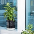 thumbnail image 6 of 10 Inch Self Watering Terracotta Planter, Black Terracotta Clay Pot with Glass Reservoir for Indoor Plants, Herbs, Flowers, Set of 1, 52-C-I-1, 6 of 6