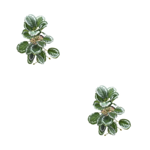Billuyoard Decoraciones realistas para terrarios - Apariencia realista Plantas de bajo mantenimiento Hoja de pavo real artificial hoja de pavo real 2Conjunto
