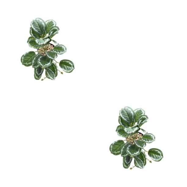 Billuyoard Decoraciones realistas para terrarios - Apariencia realista Plantas de bajo mantenimiento Hoja de pavo real artificial hoja de pavo real 2Conjunto