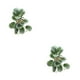 thumbnail image 2 of Decoraciones realistas para terrarios Injueey Hoja de pavo real artificial no tóxica 2Conjunto, 2 of 6