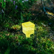 Worgeous 10 Pcs Rain Gauge Gauges Rainfall Measurement Outdoor Yellow