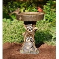thumbnail image 2 of Plow & Hearth Resin Raccoon Birdbath, 2 of 6