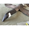 thumbnail image 3 of OUTLAW DECOY CANADIAN GOOSE WINDSOCK DECOY KITE 🇺🇸 USA MADE 🇺🇸, 3 of 9