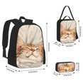 thumbnail image 2 of Fotbe Sleeping Cat In Blanket Set Escolar 3 en 1 para Niños - Mochila Duradera con Lonchera Aislante y Estuche para Lápices - Mochila Escolar para Niños y Niñas, 2 of 7