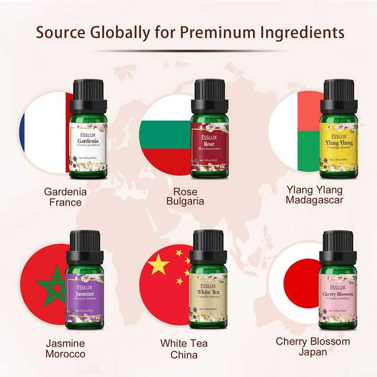 Essential Oils, ESSLUX Floral Aromatherapy Oils Gift Set, Rose, Jasmin –  SHANULKA Home Decor
