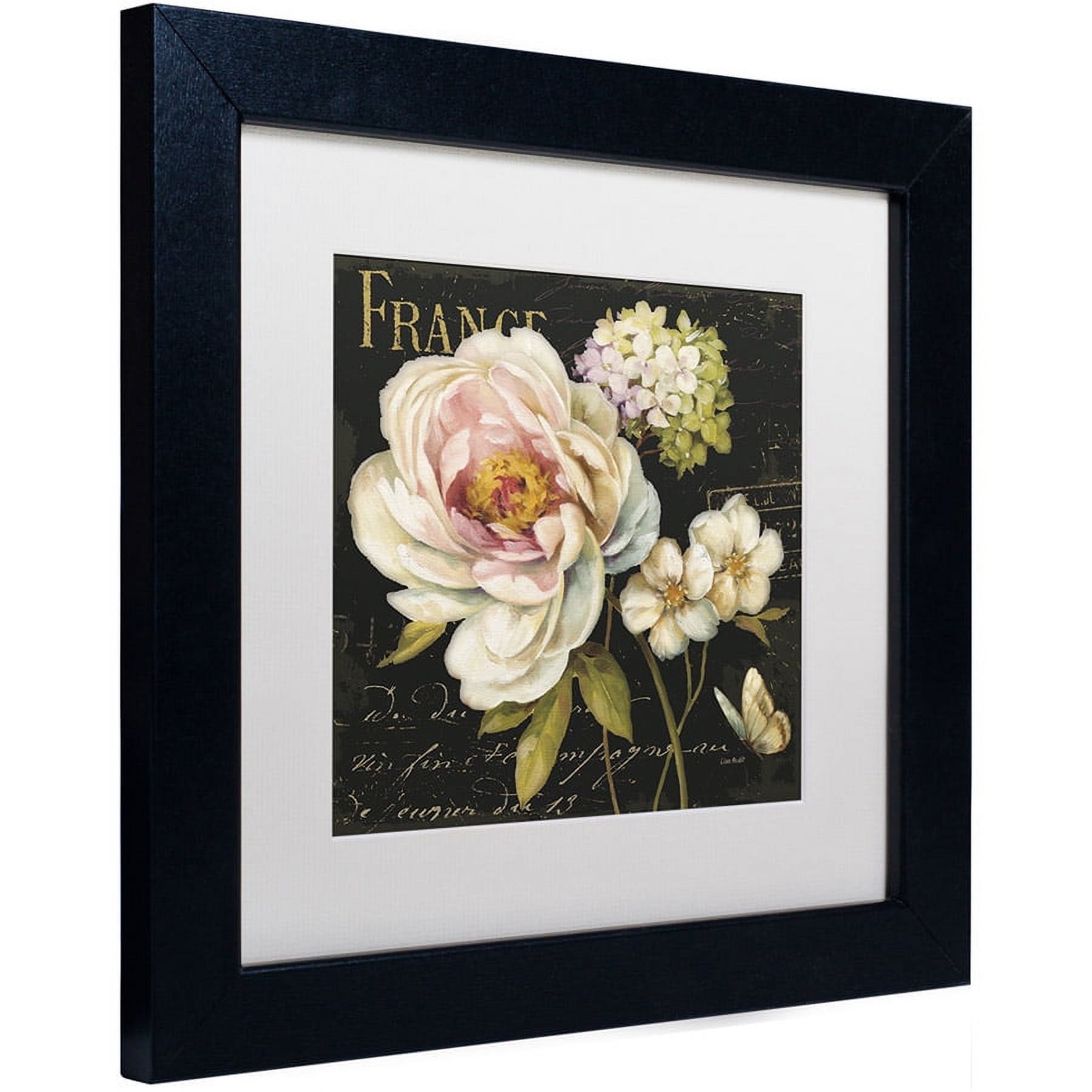 Trademark Fine Art "Marche de Fleurs on Black" Canvas Art by Lisa Audit, White Matte, Black Frame