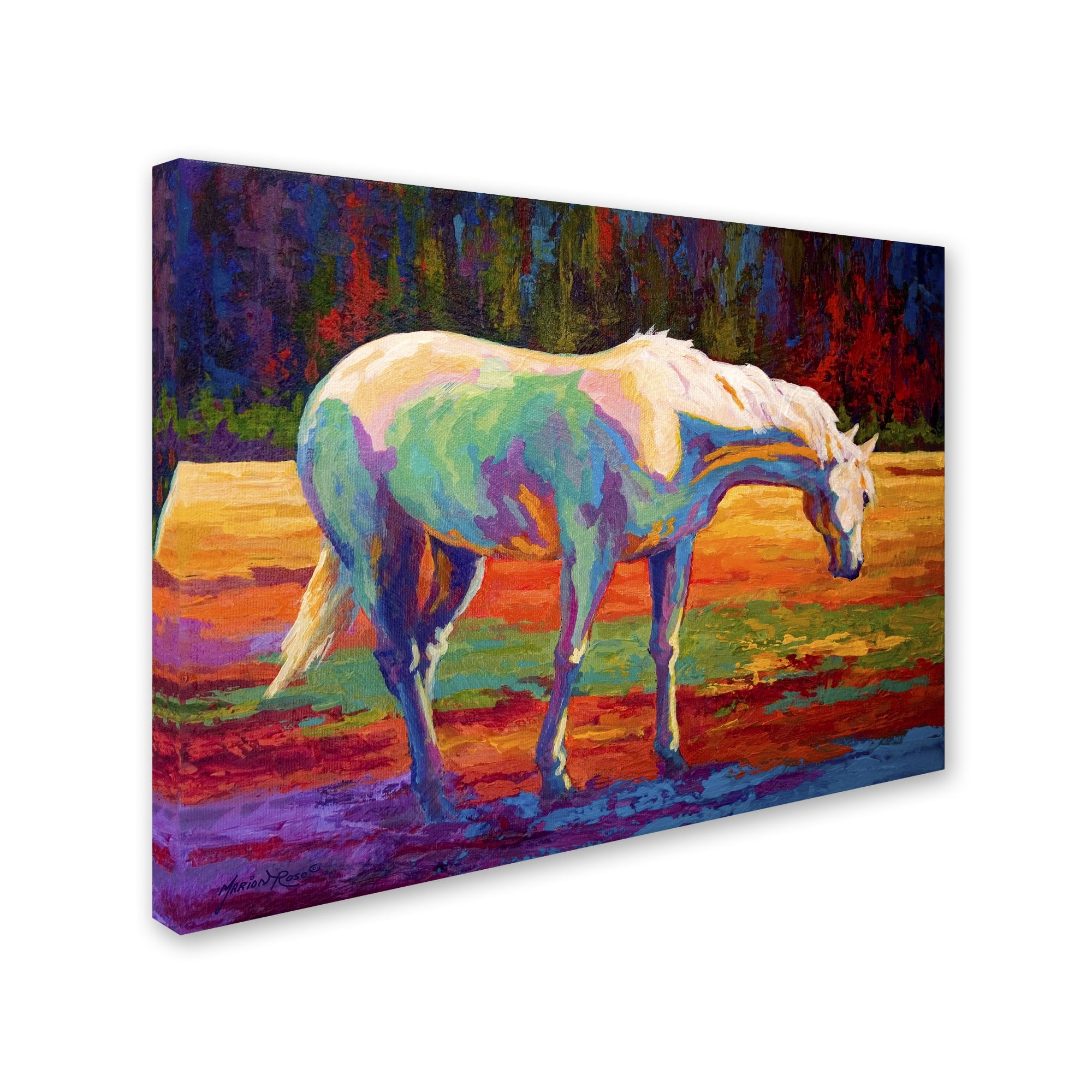 Trademark Fine Art 'White MareII' Canvas Art by Marion Rose
