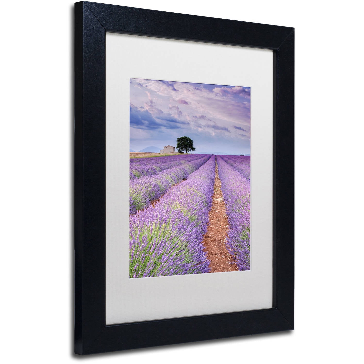 Trademark Fine Art "Rows Of Lavender" Canvas Art by Michael Blanchette Photography White Matte, Black Frame