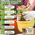 thumbnail image 2 of Legigo 6 Pack Premium Coco Coir Brick for Plants- 100% Organic Compressed Coconut Coir Bricks Starting Mix, Coco Coir Fiber Coconut Husk for Planting, Gardening, Potting Soil Substrate, Herbs, 2 of 7