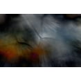 thumbnail image 2 of Gronkjar, Lotte 18x13 Gold Ornate Wood Framed with Double Matting Museum Art Print Titled - Tragopogon abstract, 2 of 4