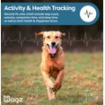 thumbnail image 6 of Wagz® Freedom Smart Dog Collar™, the Shock-Free Wireless Fence & Wellness System, Virtual Geofences, GPS Location & Activity/Health Tracking, 6 of 9