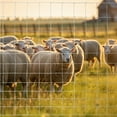 thumbnail image 2 of Newest Farm Fence 4ft x 164ft, Upgraded Heavy Duty Galvanized Wire Fencing, Weave Farm Enclosures for Cattle, Deer, Hog, Silver, 2 of 8