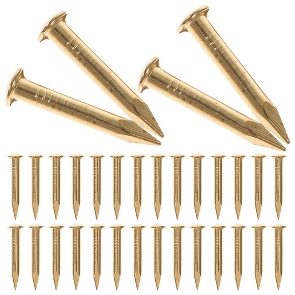 MasteelfCA 1 Pack Nails Copper Nails for Hanging Pictures DIY Wooden Box Arts and Crafts (250g/pack)