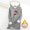 (Fashion 122)Gray, variant on Aimik Plus Size Hooded Top for Women Fall Winter Thick Fleece-Lined Warm Base Layer Sweatshirt Loose Fit Long Sleeve Hooded Top