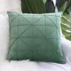 thumbnail image 1 of PiccoCasa 1 Pcs Funda de Almohada de Terciopelo Verde Pálido 18"x18", 1 of 7