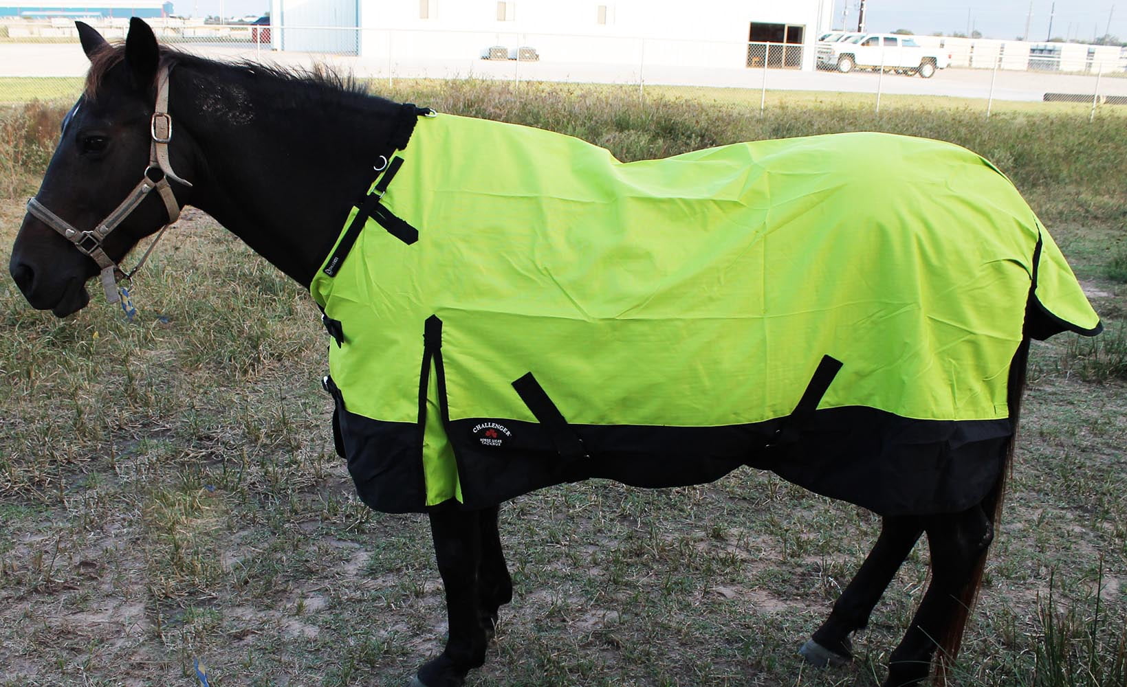 1200D Turnout Horse SHEET Light Winter Blanket 344 Walmart
