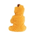 thumbnail image 4 of Infant The Lorax Sustainable Materials Costume Onesie, 4 of 6