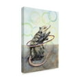 thumbnail image 2 of Trademark Fine Art 'Playing Possums' Canvas Art by Charlsie Kelly, 2 of 3