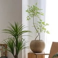 thumbnail image 3 of Round Magnesium Clay Planter, 3 of 10