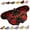 #K, variant on Vintage Colorful Butterfly Print Rug,Irregular Butterfly Moth Shaped Area Rug,Soft and Fluffy Faux Wool Mat, Dry Feet Warmth Carpet for Living Room Bedroom Bathroom Entryway Home Decor (#C)