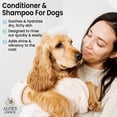 thumbnail image 3 of Set de champú y acondicionador para perros ALFIE'S CHOICE Itchy Skin 480 ml, 3 of 9