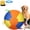 9.84in, variant on Calming Jumbo Ball for Dogs, 2026 Durable Tear-Resistant Inflatable Big Ball, Giant Herding Ball for Dogs, with Handle Cover & Pump for Play & Exercise Dogs
