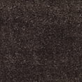 thumbnail image 5 of SAFAVIEH Charlotte Solid Plush Shag Area Rug, Brown, 3' x 5', 5 of 5