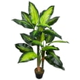 thumbnail image 4 of Northlight Wide Leaf Artificial Dieffenbachia Potted Plant - 51", 4 of 9