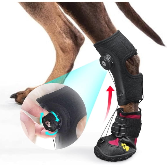 Drop Foot Brace with Reel(No Knuckling Boot Brace) for Dog - Corrective Dog Shoes to Safely Lift Toes for Foot Issues, Arthritis, and improving Walking gait in Dogs,Patent Pending S