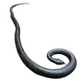 thumbnail image 1 of Serpiente de goma COTOSEY 53' juguete realista, 1 of 3
